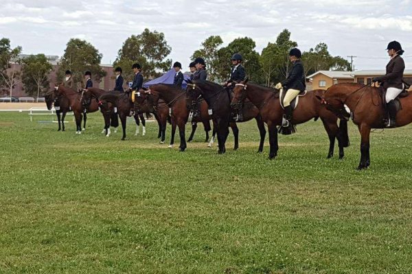 All Breeds Show Society spring carnival Horses In Line