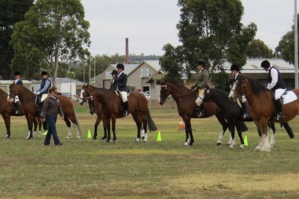 All Breeds Show Society spring carnival Horses in line