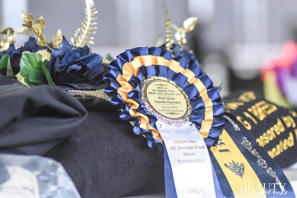 All Breeds Show Society Foal Show Spectacular