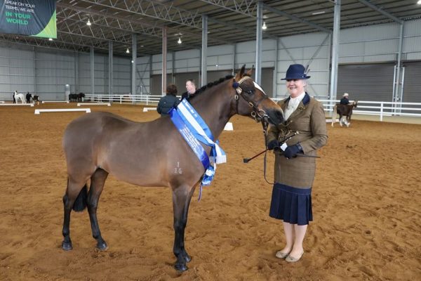 All Breeds Show Society Winter Youngstock Spectacular