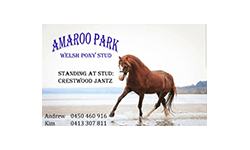 All Breeds Show Society Sponsor Amaroo Park