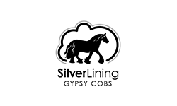 All Breeds Show Society Sponsor Silver Lining Gypsy Cobs