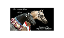 All Breeds Show Society Sponsor Mandoora Park Stud